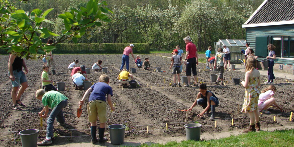 Leiderdorp wint Publieksprijs ‘Gouden Wortel’ voor schooltuinonderwijs