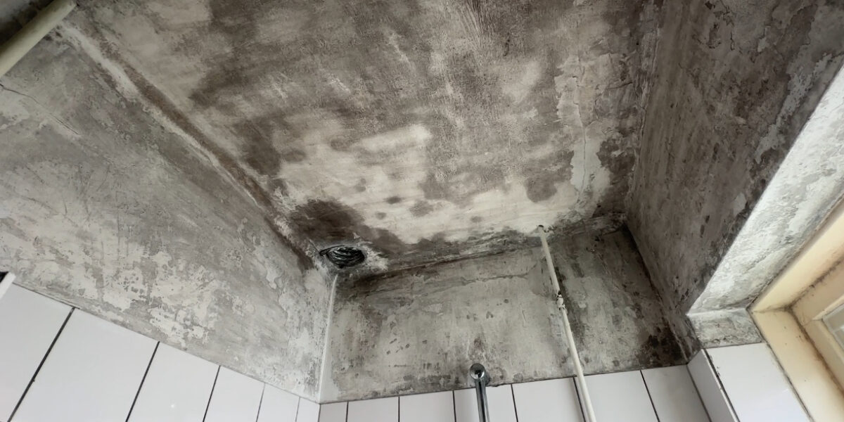 Woningcorporatie De Sleutels komt in actie: 'We moeten de schimmelproblemen oplossen'