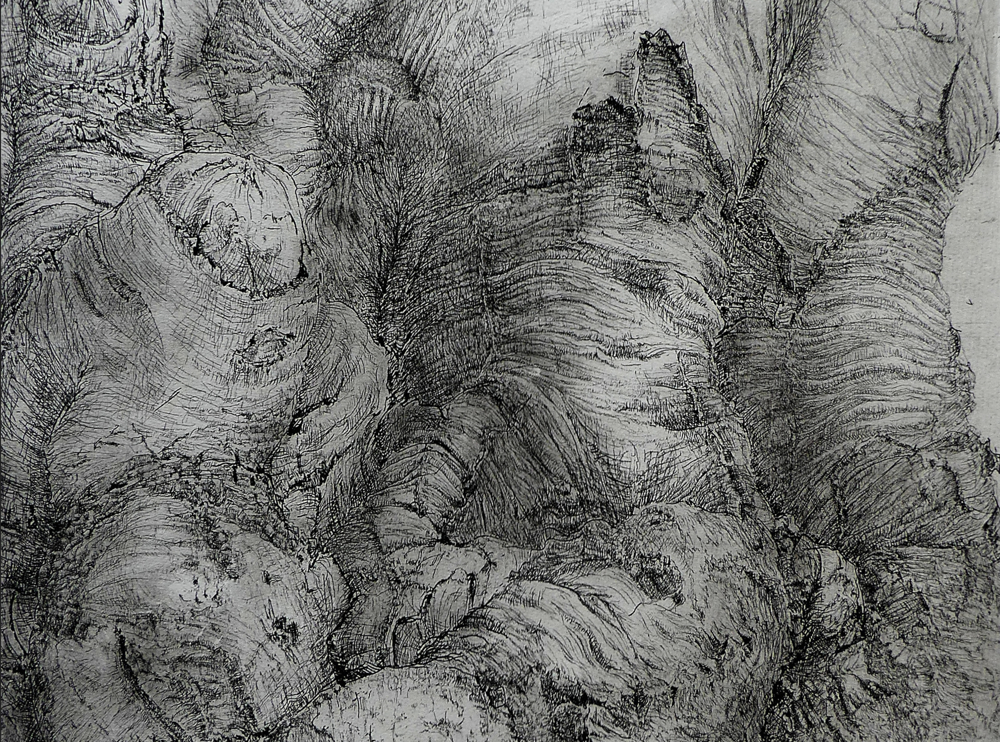 Detail uit ets van de Dikke Dame van Lisanne Wepler