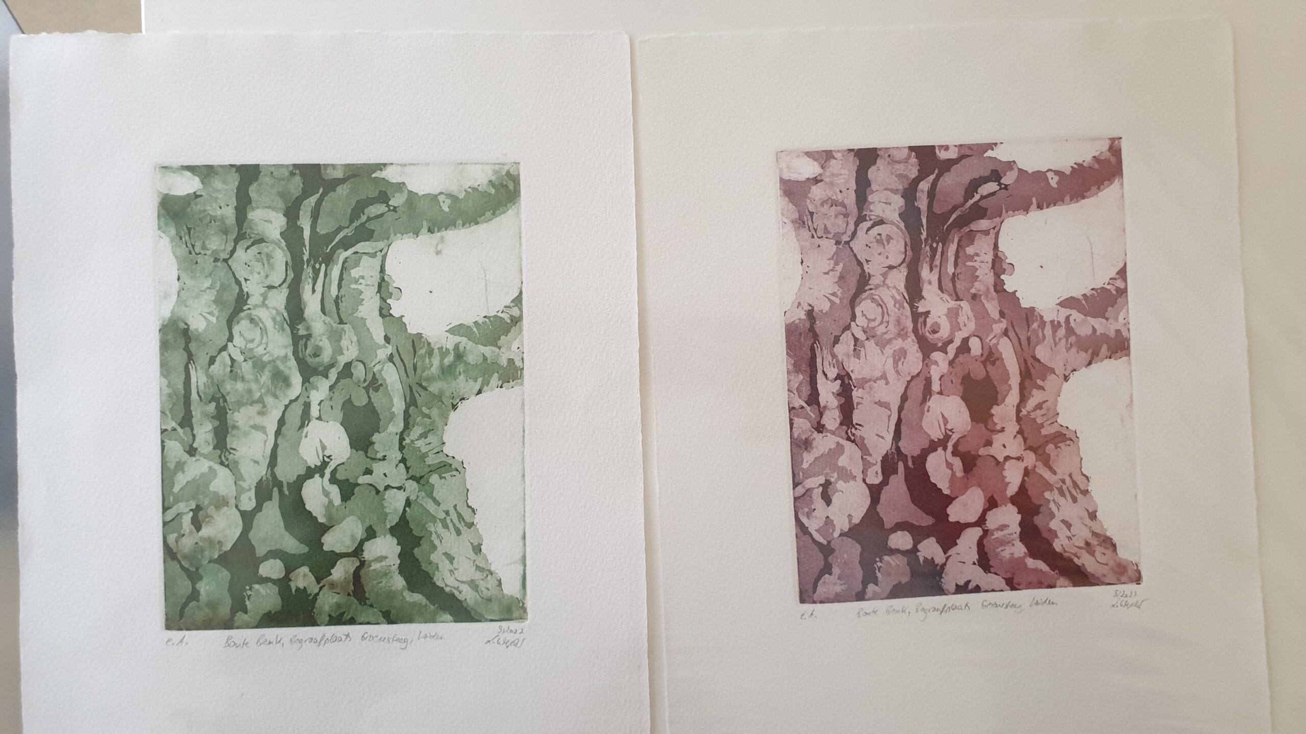 Kleuren etsen van de Dikke Dame van Lisanne Wepler
