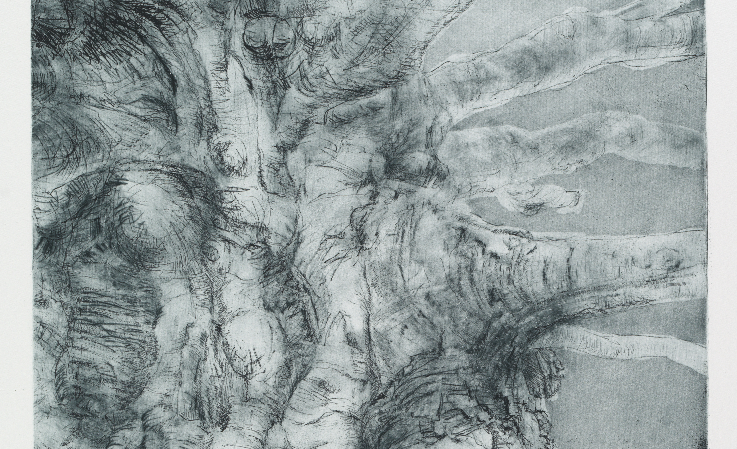 Detail uit ets van de Dikke Dame van Lisanne Wepler