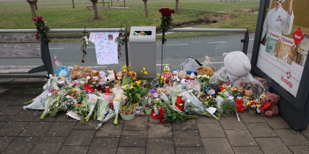 Lange gevangenisstraf geëist na dodelijk ongeval N206