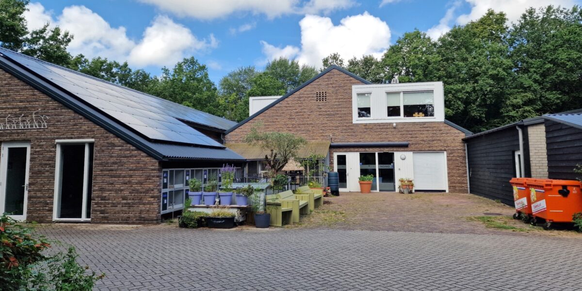 Dierenasiel blikt tevreden terug: nieuw huis voor 488 dieren