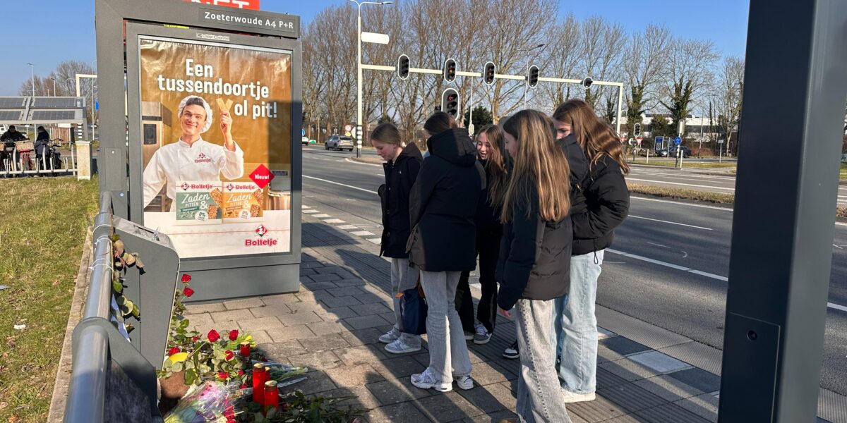 Automobilist die 13-jarige Raphael schepte reed te hard door rood