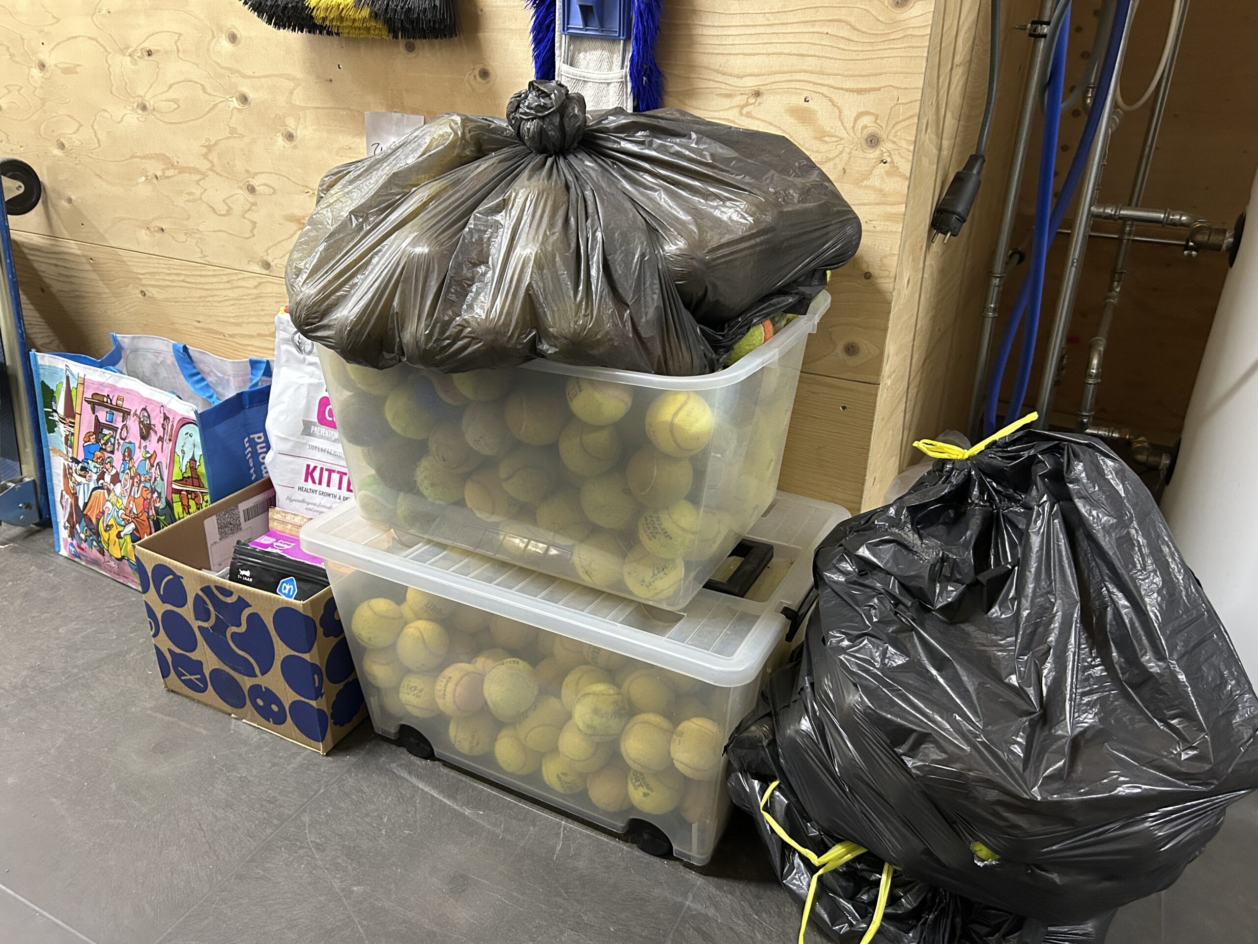 In samenwerking met een lokale tennisclub verzamelt het asiel tennisballen waar de dieren mee kunnen spelen