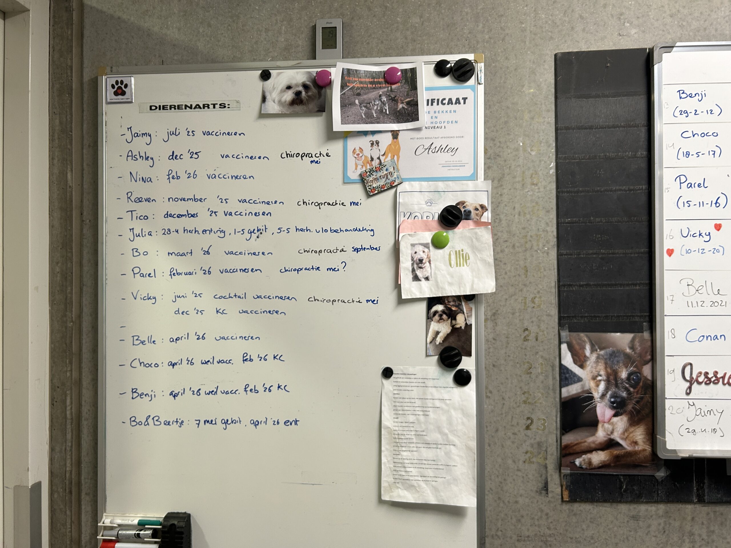 Het asiel heeft een wettelijke vaccinatieplicht