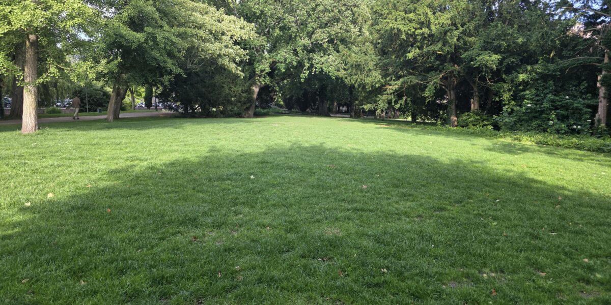 Het is groen en het... is het grasveld in het Van der Werfpark