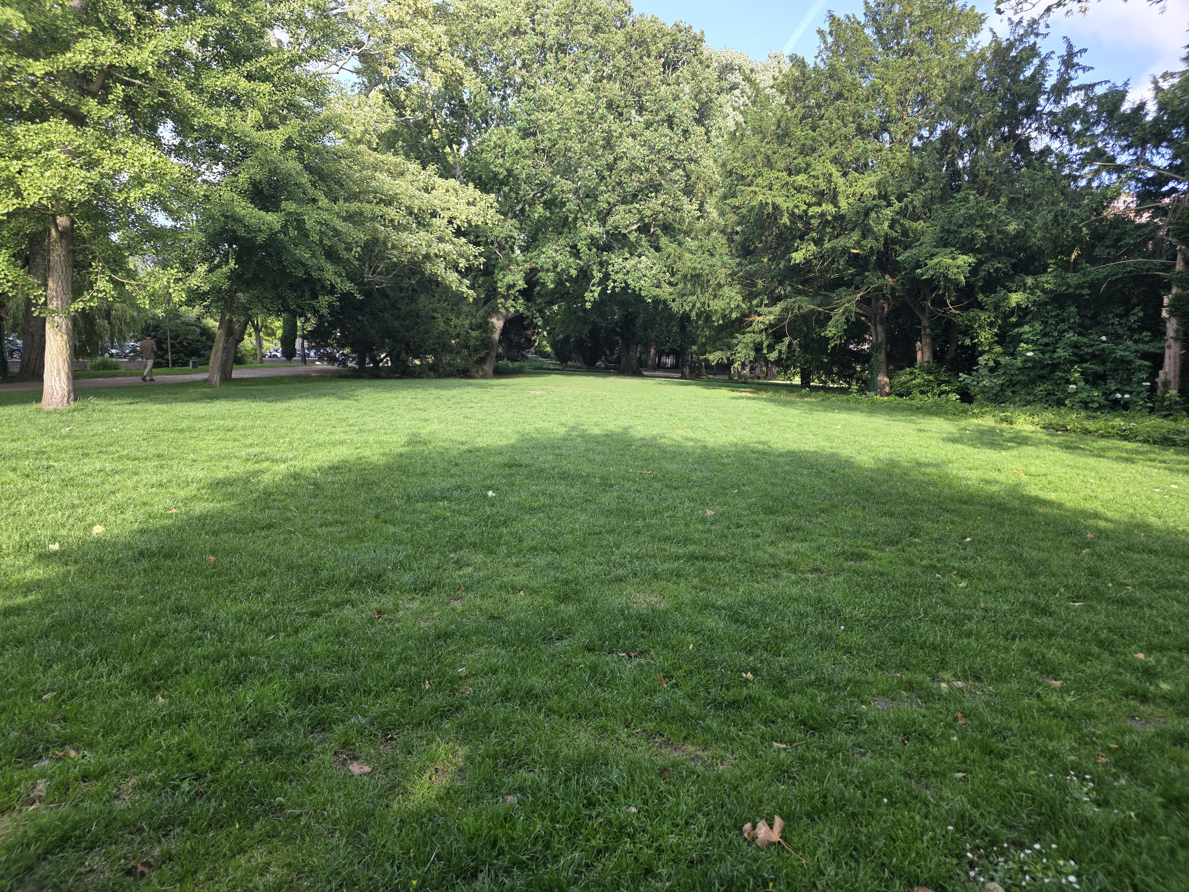 Het is groen en het... is het grasveld van het Van der Werfpark