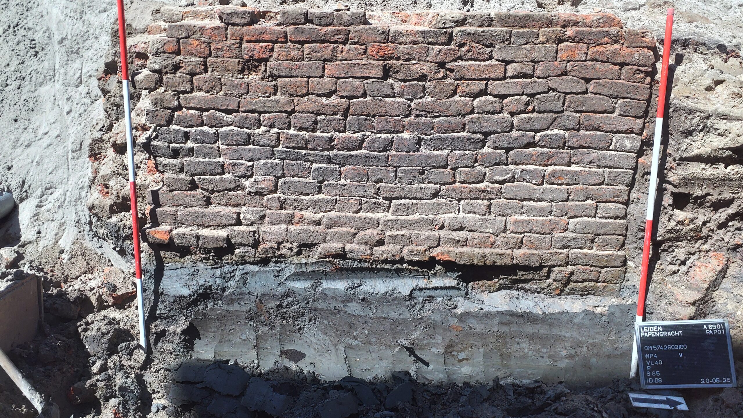 Kloostermoppen (IDDS)