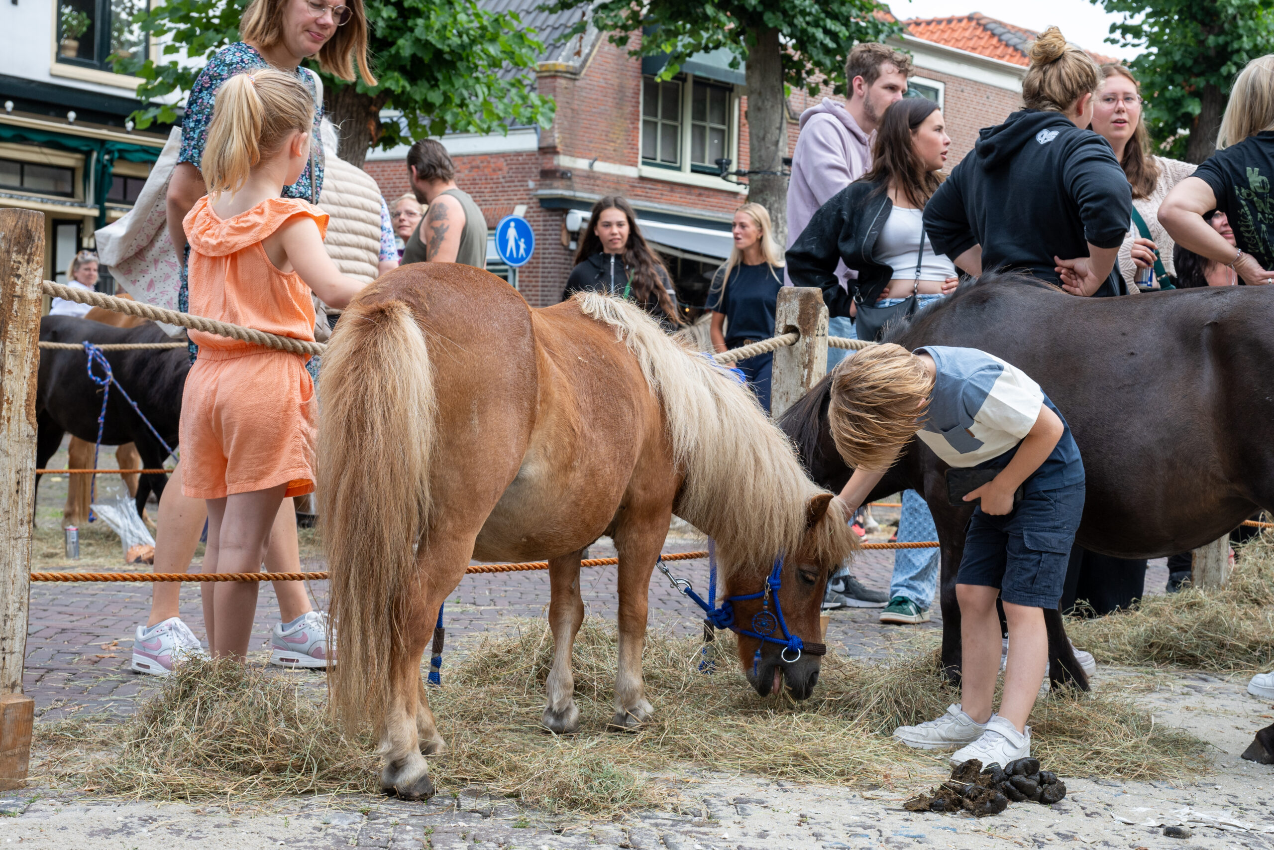 Foto: NELLEKE DE VRIES