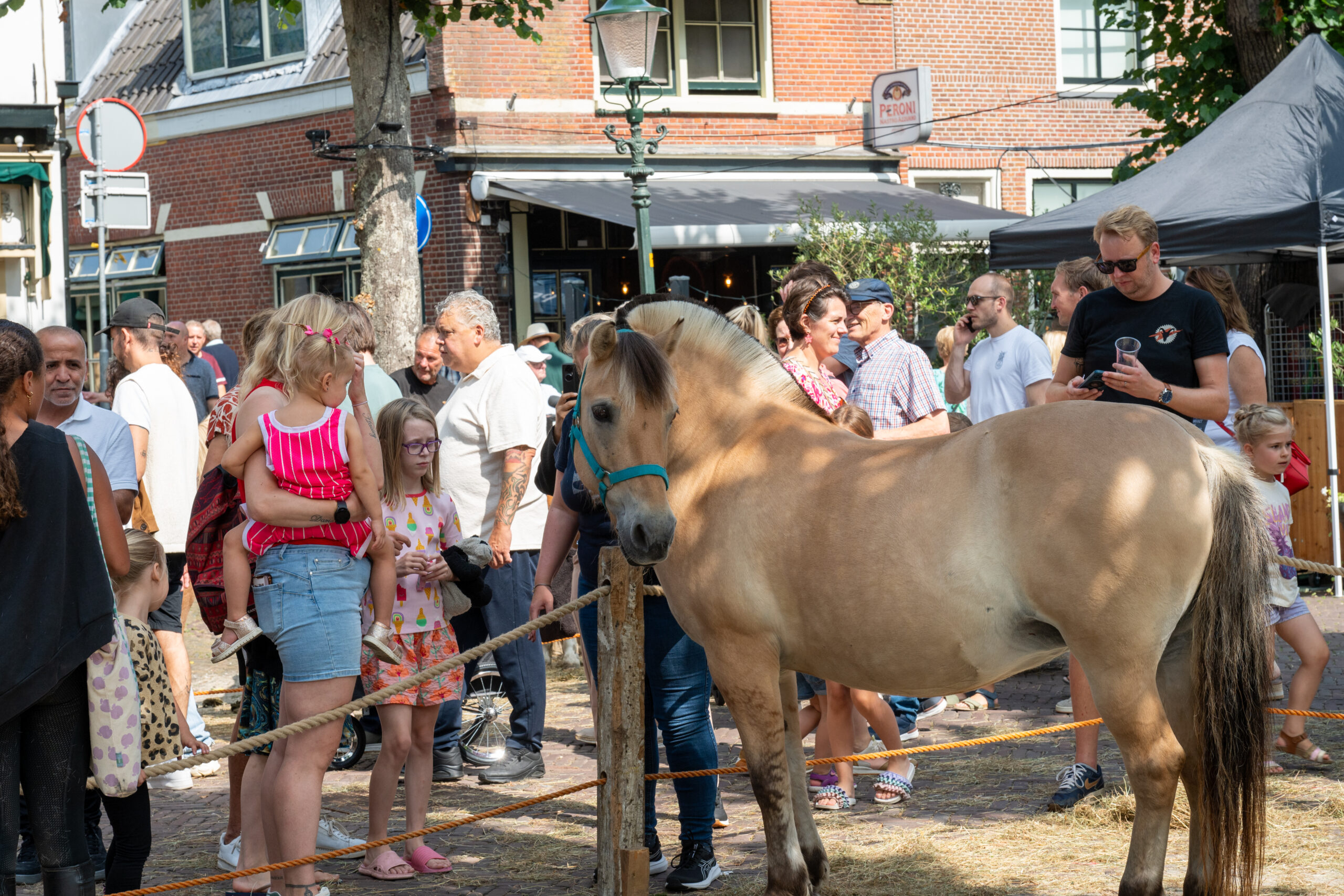 Foto: NELLEKE DE VRIES