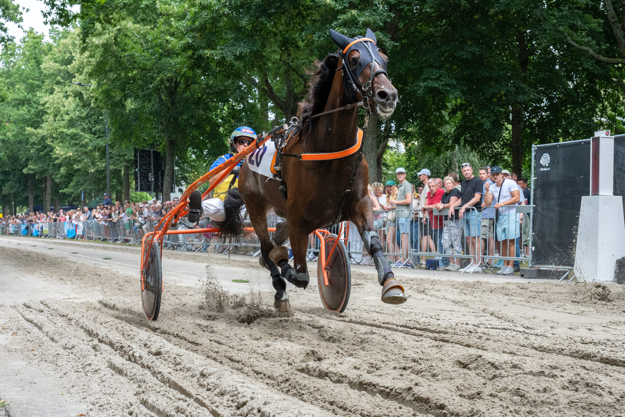 Foto: NELLEKE DE VRIES