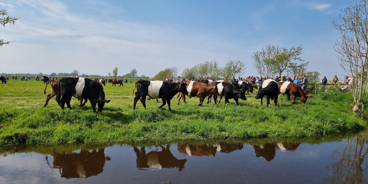 Gemeente Leiderdorp neemt ervaringen van Teylingen mee in aanbesteding pachtgronden