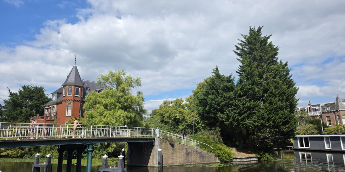 Bomenkap Jan van Goyenkade van de baan