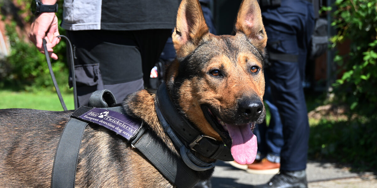 Vuurwapens en nepmerkkleding gevonden bij controle in Voorschoten