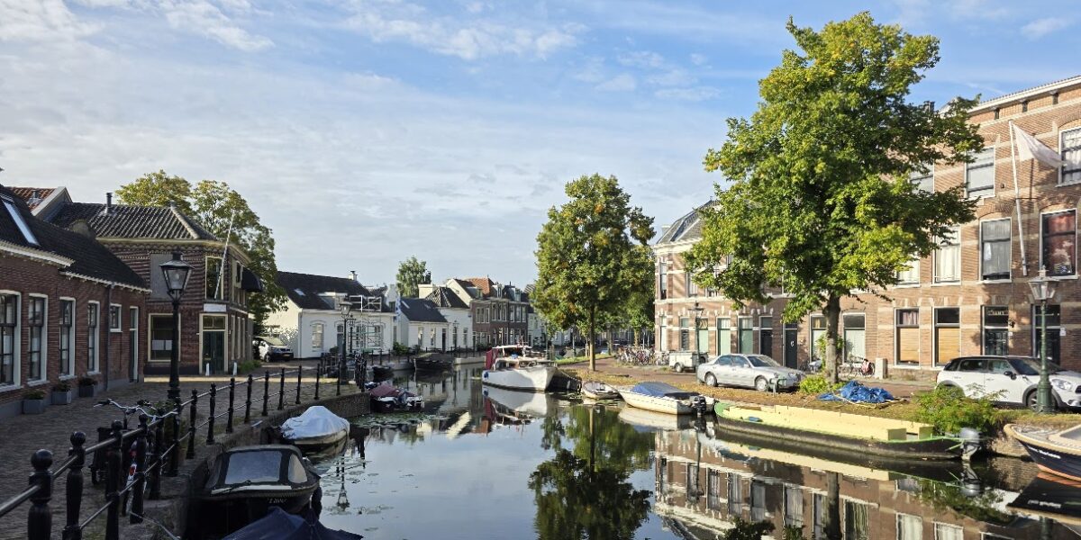 Leiden doet grootste investering ooit in Leidse bomen