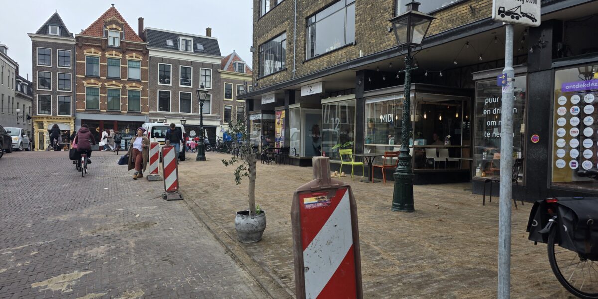 Bewoners Nieuwe Rijn naar rechter om terras en verdwenen parkeerplekken