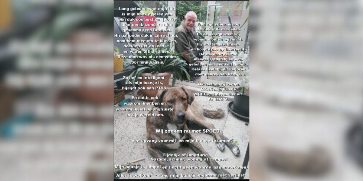 Voorschotense man en hond dreigen dakloos te raken