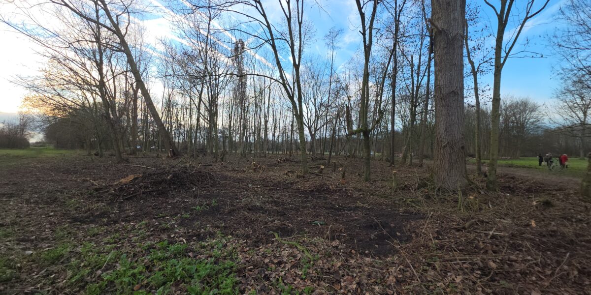 Voorlopig verbod op werkzaamheden voor recreatiepark Vlietland