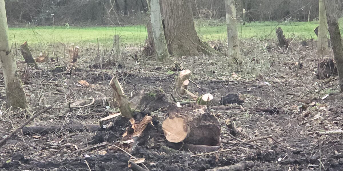 Partij voor de Dieren protesteert in Vlietland