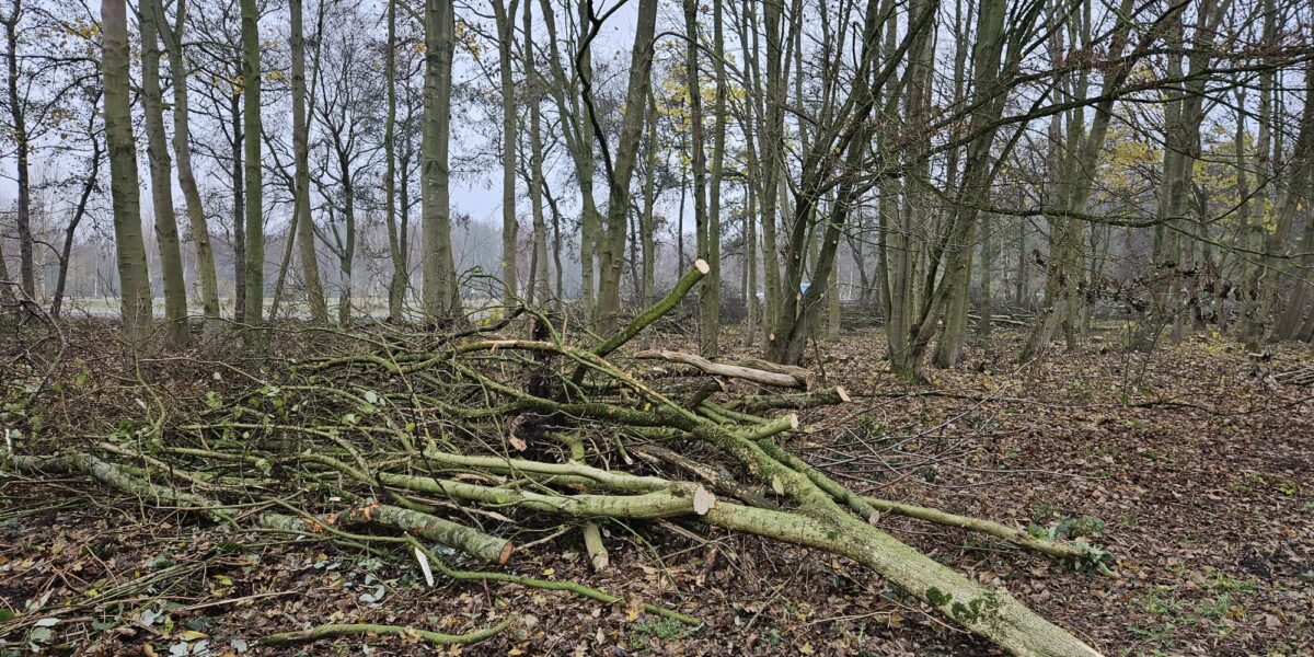 Natuurorganisaties roepen leden PRO LV op alleen in te stemmen met groen Vlietland