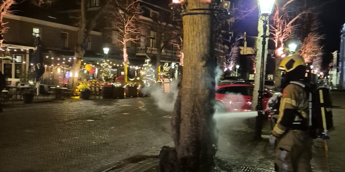 Historische Linde in de Voorschotense Voorstraat in brand