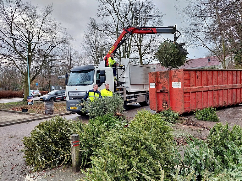 Oegstgeest deelt weer cadeaukaarten uit voor inzamelen kerstbomen
