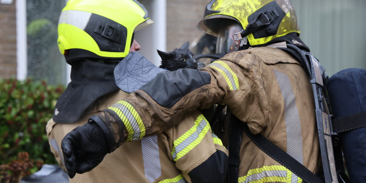 Brandweer redt twee katten bij woningbrand in Leiderdorp