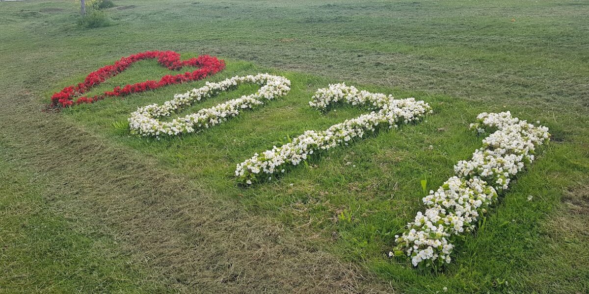 Leiden steeds groener: honderden extra bomen aangeplant