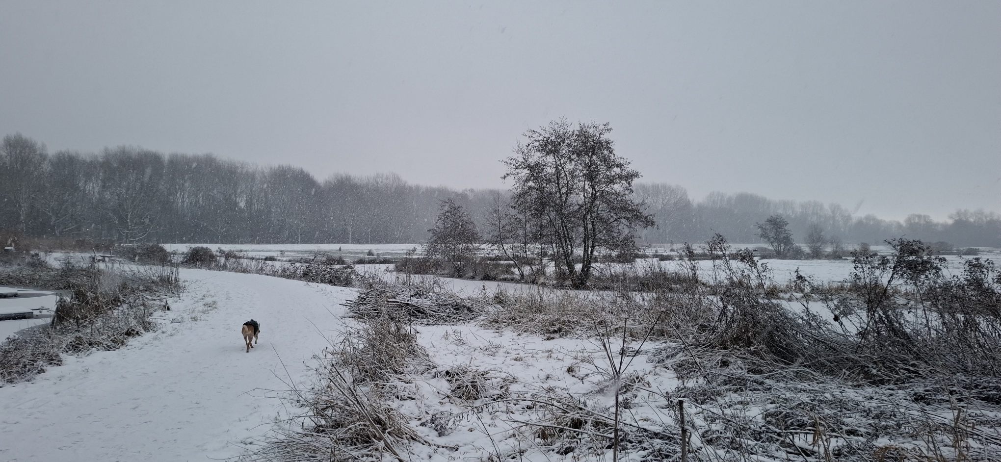 Ed Bezuur was even sprakeloos 