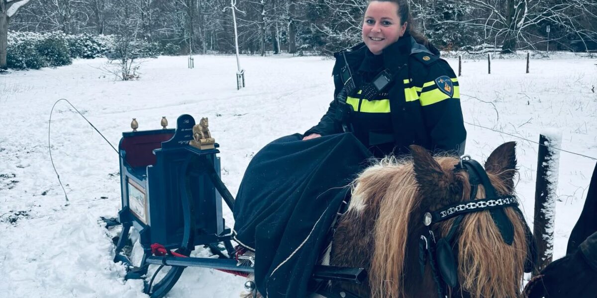 Man overreden door slee