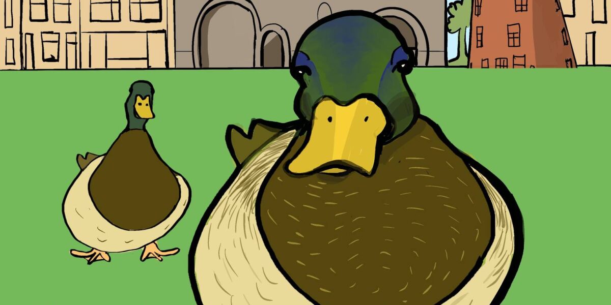 Leids voederverbod voor vogels van kracht