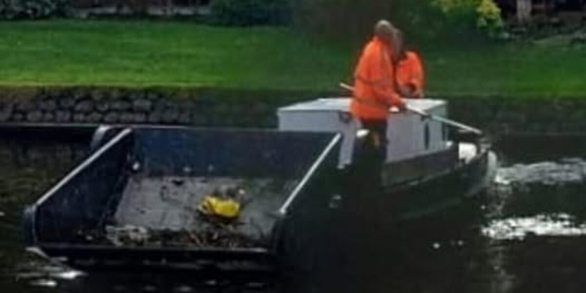 'Hond te water' in de Rijn blijkt verdronken vosje