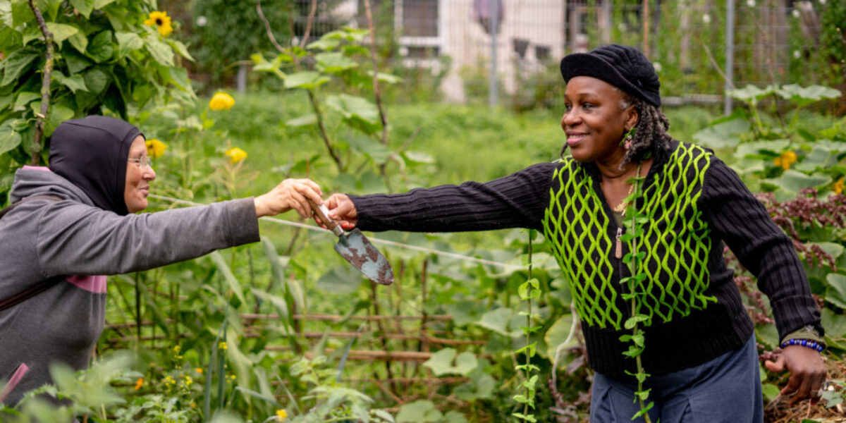 Plantenruil in Oegstgeest