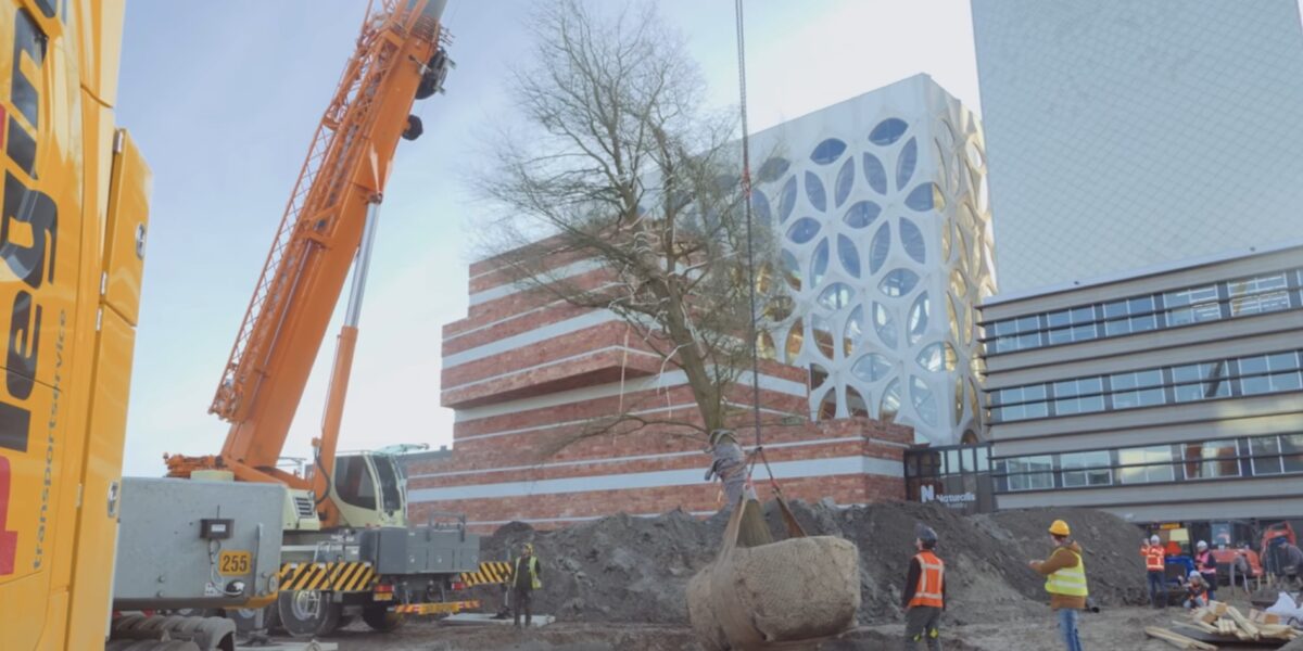Naturalis begonnen met aanleg oertuin