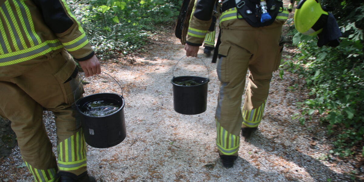 Brandende boomstam geblust met twee emmertjes water