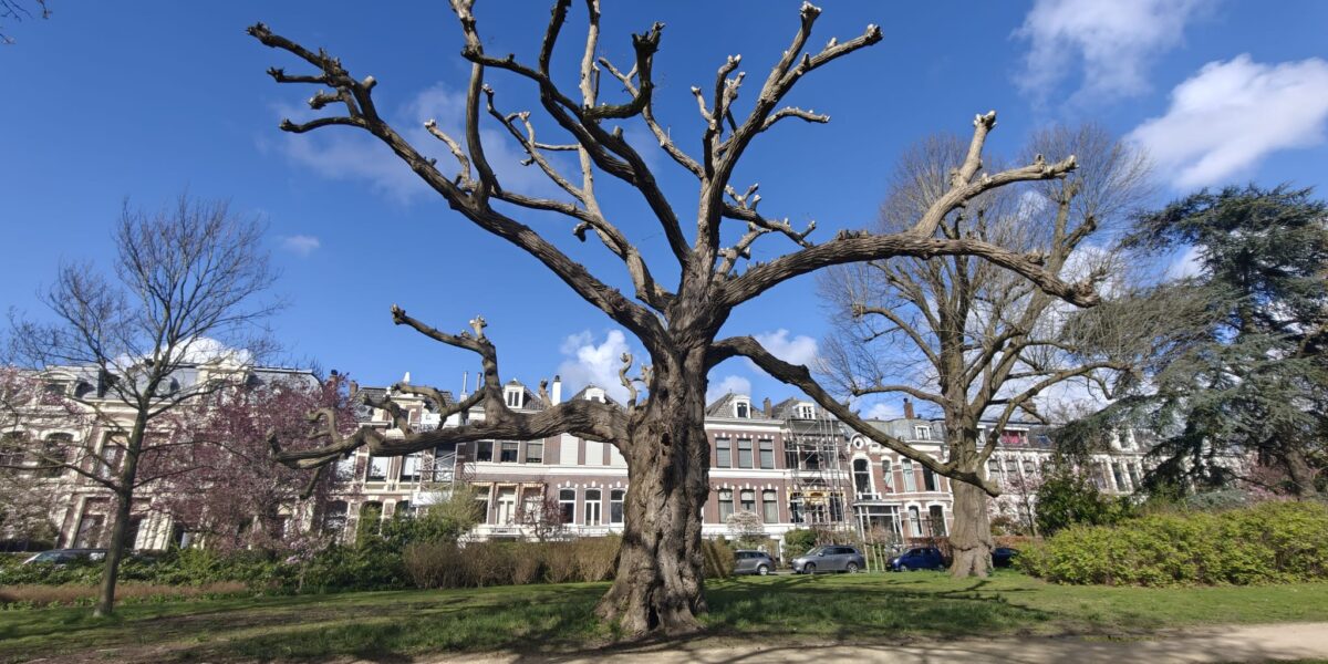 Leidse jongeren spelen Theater Na de Dam-voorstelling 'Bereik'