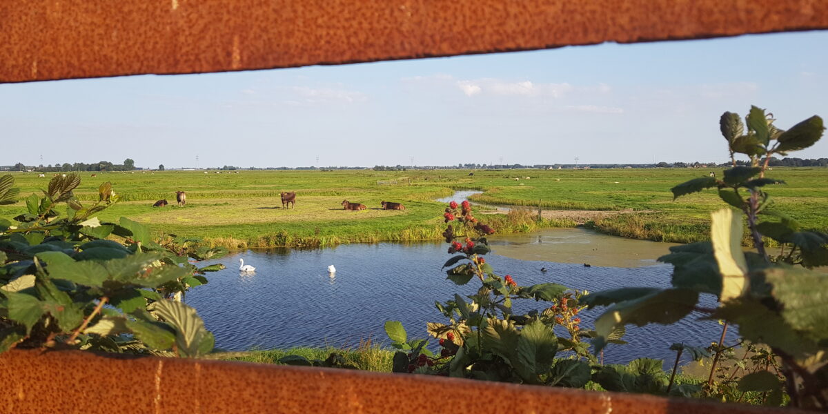 Zoeterwoudse coalitie presenteert bestuursakkoord