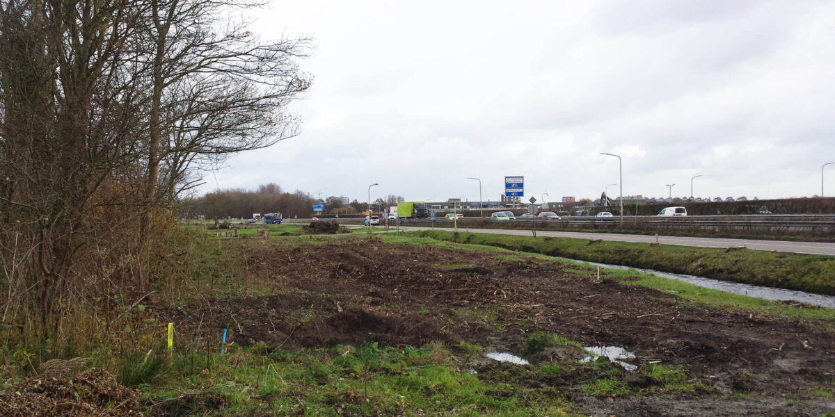 Nieuwe faunapassage helpt dieren oversteken