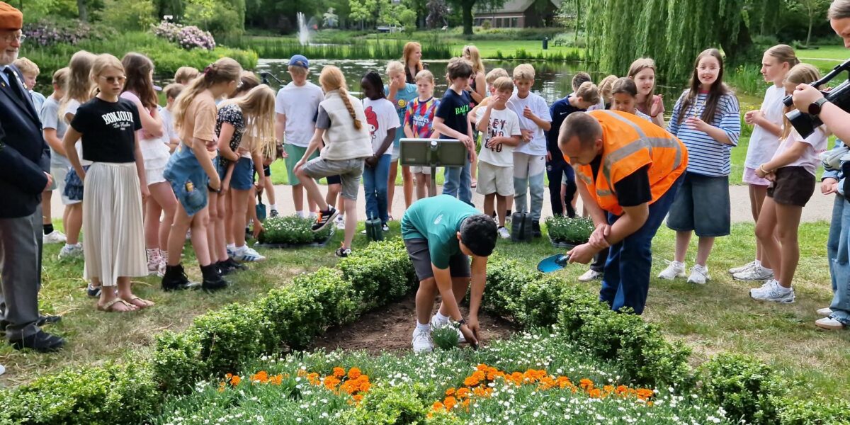 Nieuwe anjers in het Voorschotense Witte Anjerperk