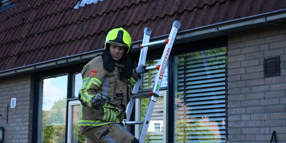 Brandweer in actie voor meeuwenkuiken in dakgoot
