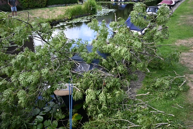 Grote tak plet bootje in Voorschoten