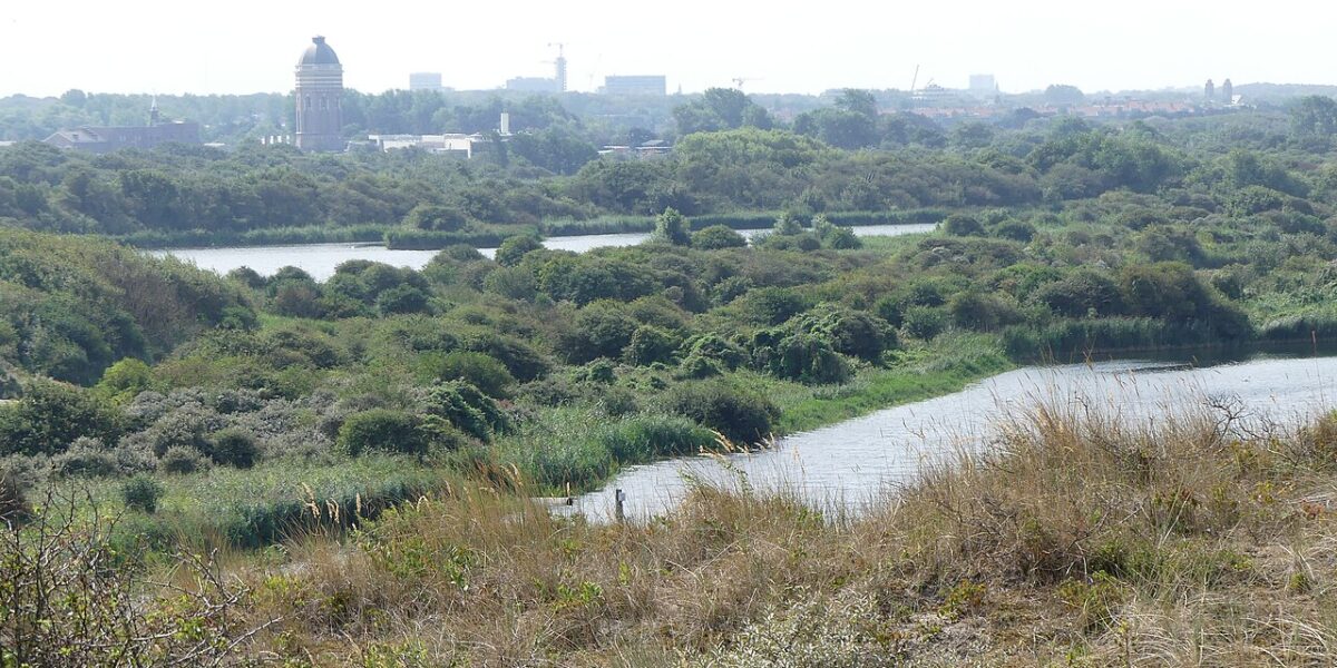 Verhoogd natuurbrandrisico: wees extra voorzichtig in natuurgebieden en duinen