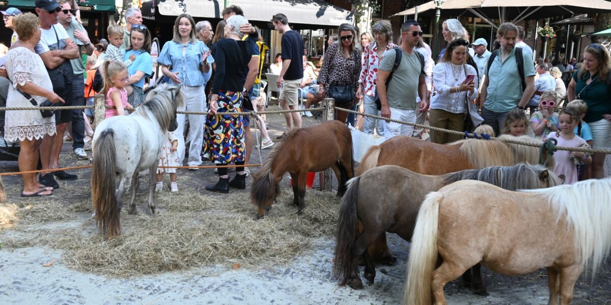 PRO Voorschoten stelt vragen over dierenwelzijn Paardendagen
