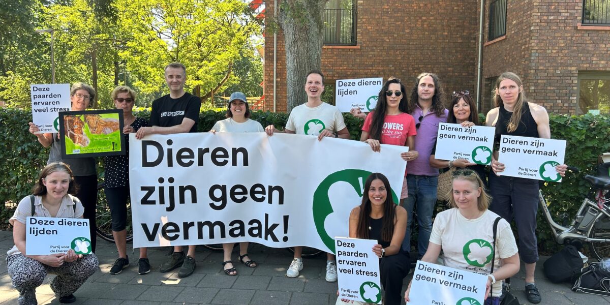 Partij voor de Dieren wil Paardendagen zonder paarden