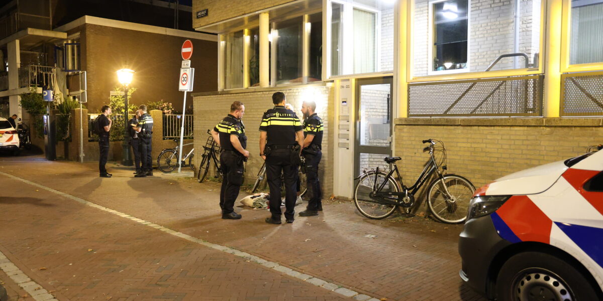 Aanhouding na steekincident in Huigpark