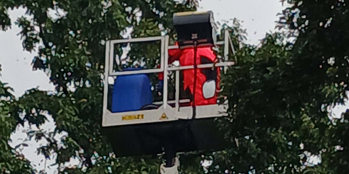 Nest Aziatische hoornaar in Voorschoten verwijderd