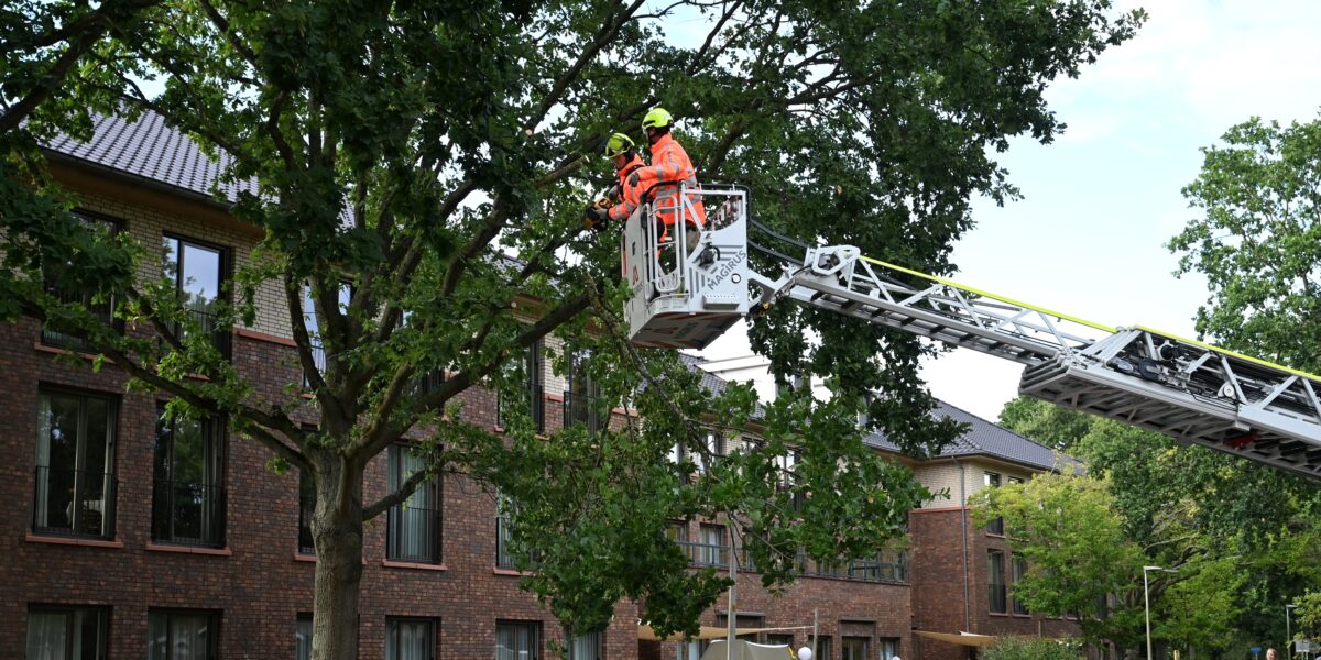 Gevaarlijke grote tak verwijderd door brandweer