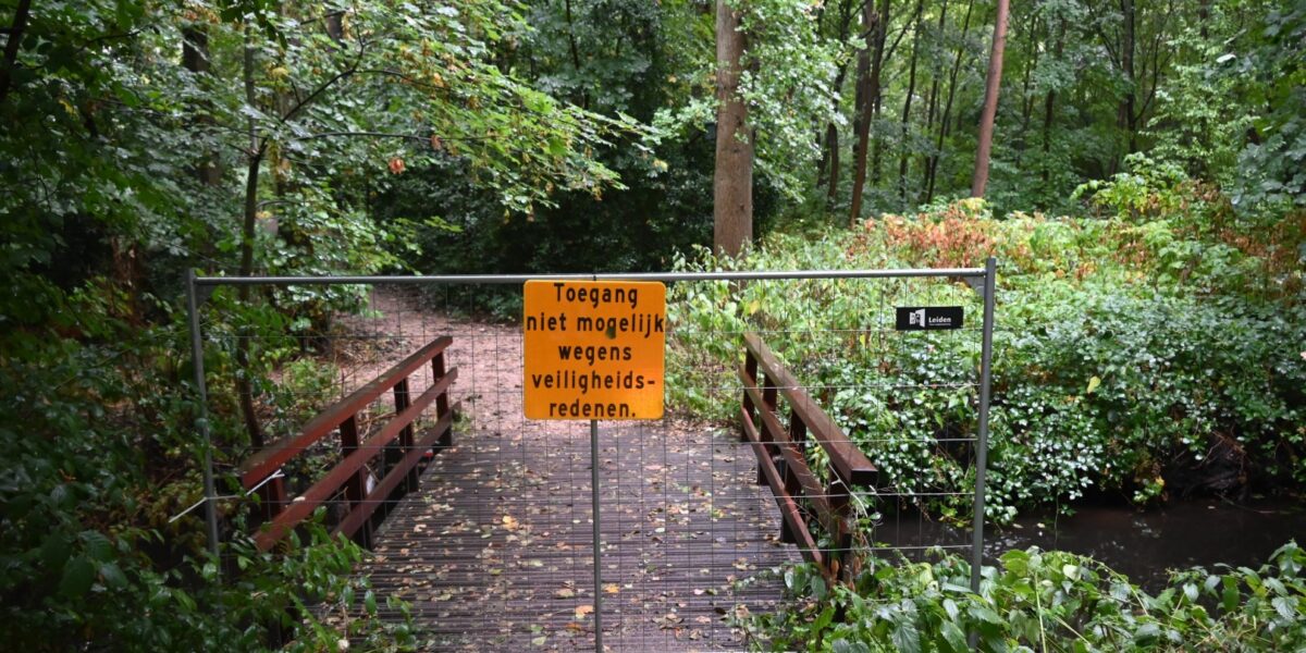 Deel Leidse Hout afgesloten wegens gevaar afbrekende takken