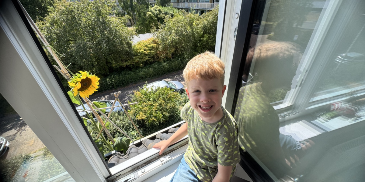 Voorschotense Floris kweekt zeven meter hoge zonnebloem